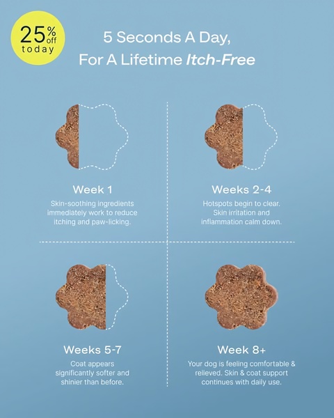 A time-based infographic creative mapping out the phased health improvements of a dog supplement over an eight-week usage period.